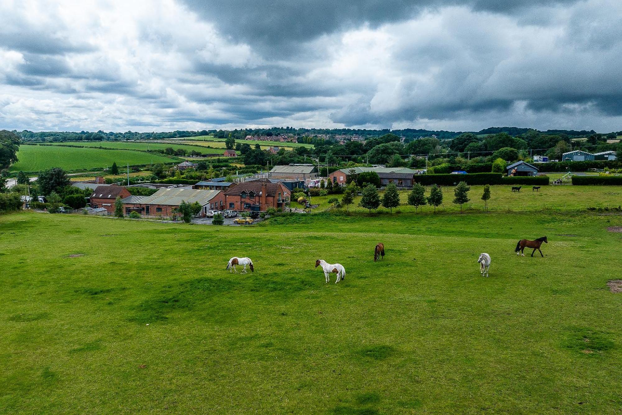 Fairview Farm Holiday Accommodation 14 Luxury Lodges, Cabins, Dog Friendly, Suitable For Couples, Families And Groups, Wedding Guests , Corporate Events, Sleeps 2-65 Guests In Ravenshead, Nottingham Near Sherwood Forest, Set In 88 Acres Экстерьер фото